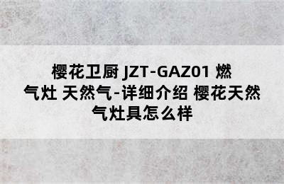 SAKURA/樱花卫厨 JZT-GAZ01 燃气灶 天然气-详细介绍 樱花天然气灶具怎么样